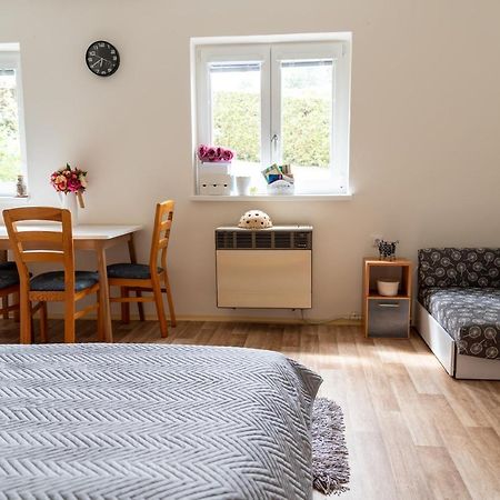 Ferienwohnung Apartman Fraise Decin Exterior foto