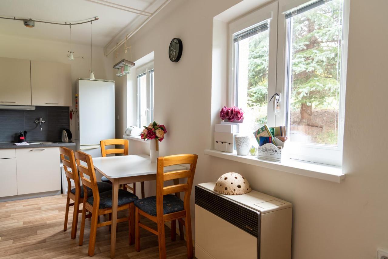 Ferienwohnung Apartman Fraise Decin Exterior foto
